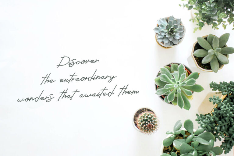 Lewis Hamilton – A Stylish Signature Font font preview
