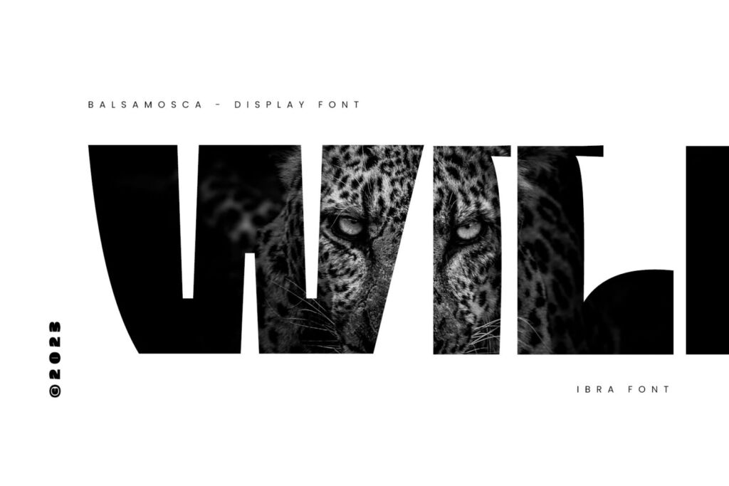 Balsamosca – A Display Sans Serif Font font preview