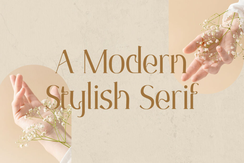 Boegelle – A Modern Stylish Serif font preview