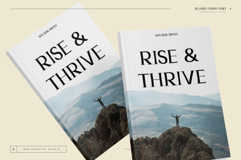 Blaird Coiro – A Modern Display Serif Font font preview