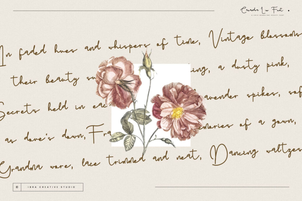 Casandra Lie – A Chic Monoline Script Font font preview